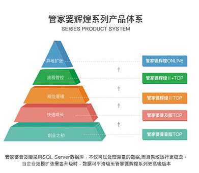 新澳門管家婆一句,數據詳解說明_XQE27.631設計師版