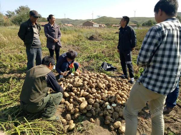 沽源最新新聞報道