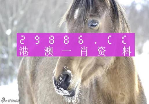 澳門精準(zhǔn)一笑一碼100,快速問題處理_VDQ10.912拍照版