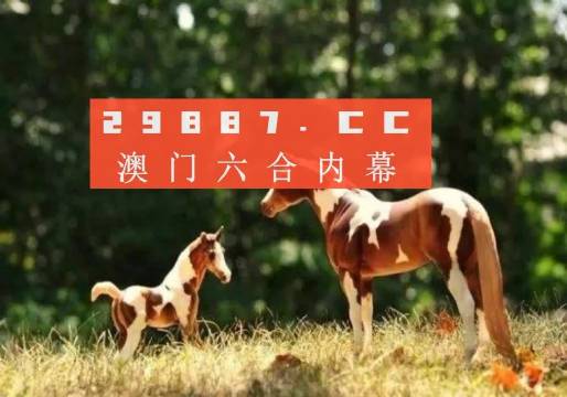 2024澳門精準(zhǔn)正版生肖圖,最新正品?全面性_NKO83.325旅行者版