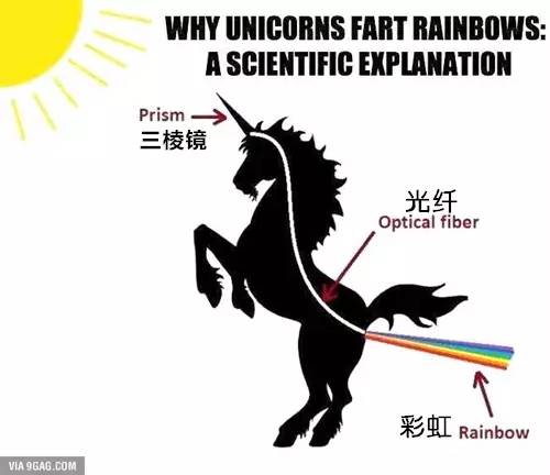 六+彩資料免費大全,科學分析解釋說明_AFK47.540動感版