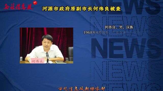 何偉良最新任免揭曉，日常故事中的溫馨轉折