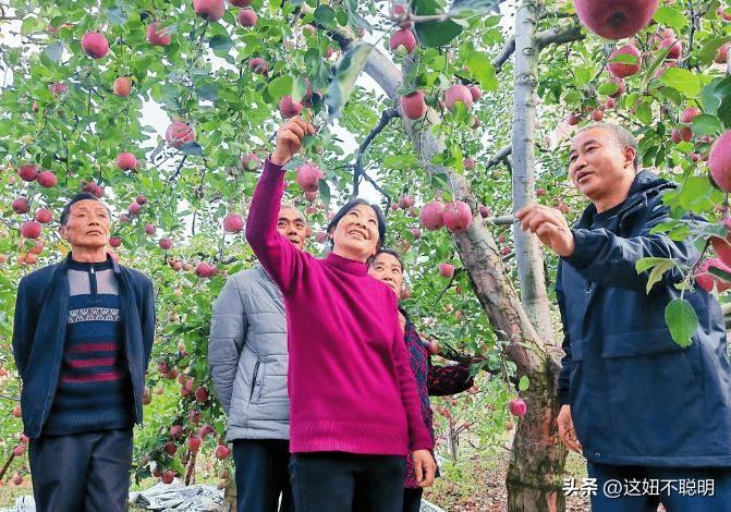 2024年最新致富項目，探索自然美景之旅，追尋內心平和寧靜