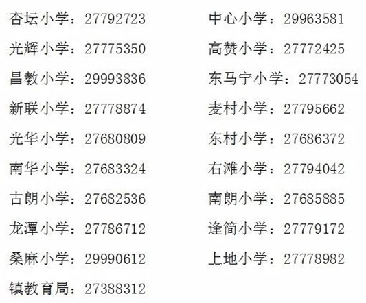 杏壇最新招聘信息大全，獲取、應聘全攻略，初學者與進階用戶通用指南