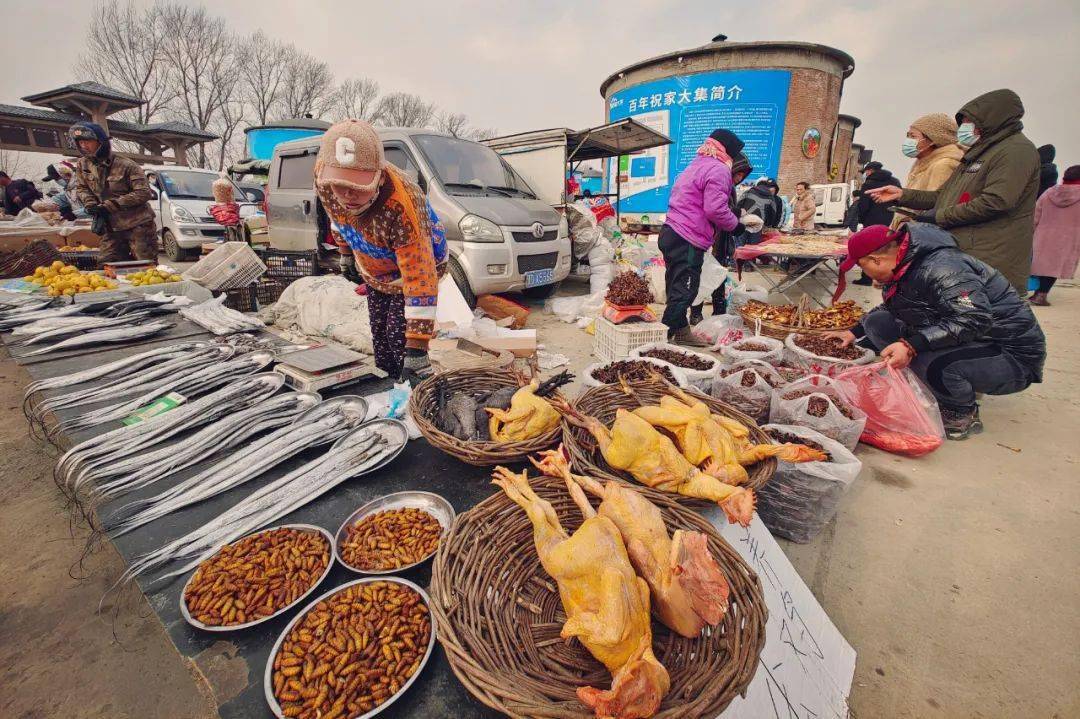 最新撫順大集時間地點及步驟指南