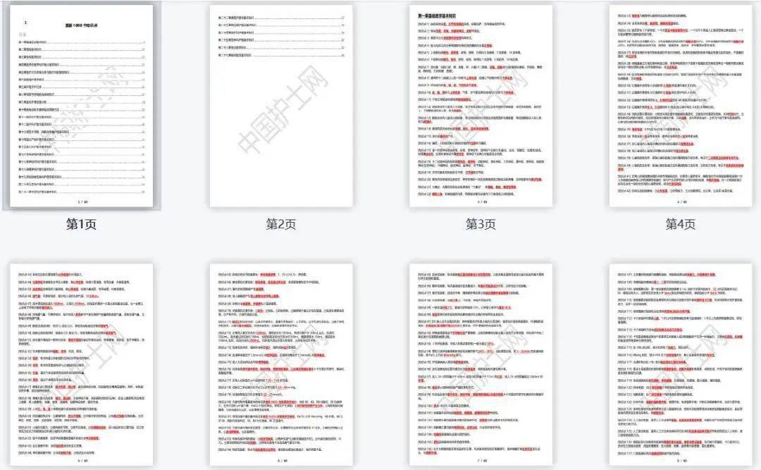 精準內部三肖免費資料大全,實地觀察解釋定義_MFK83.649明亮版