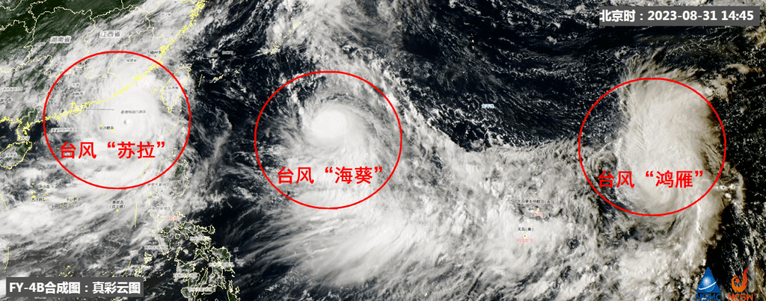 廣東臺風最新消息與小巷深處的獨特風味風情