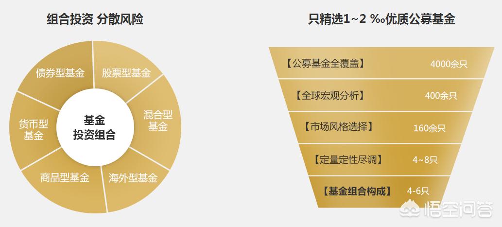 深度解析，今年養(yǎng)雞產(chǎn)業(yè)趨勢與前景展望