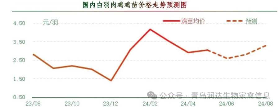 雞病專業網市場行情，科技重塑畜牧業，智能新時代的開啟