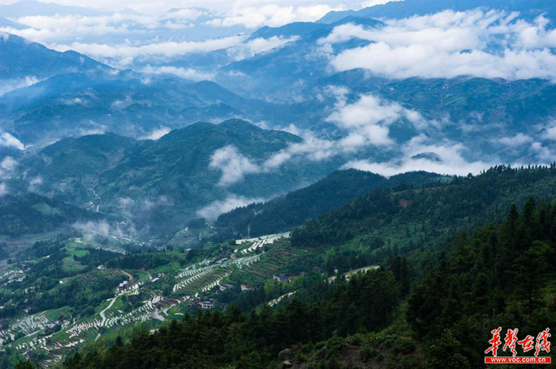 雪峰山資訊，一段溫馨有趣的探索之旅