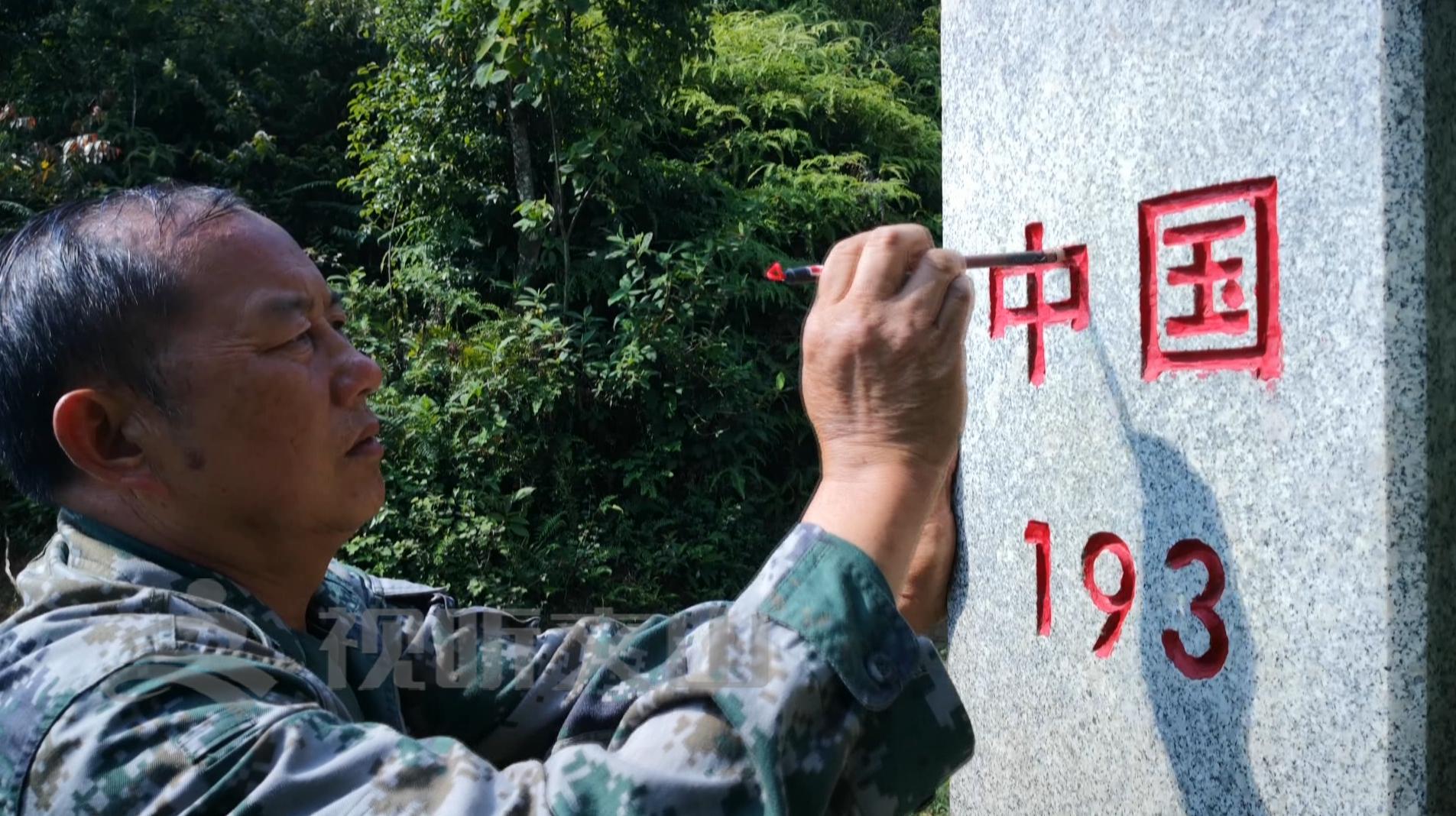 文山黃牛打架比賽，傳統與爭議的碰撞