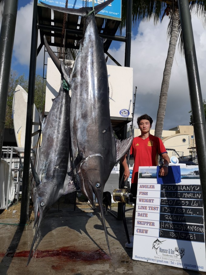 海洋競技盛宴，釣馬林魚比賽盛況