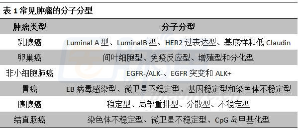 最新乳腺分類科技產品介紹，引領乳腺健康新篇章